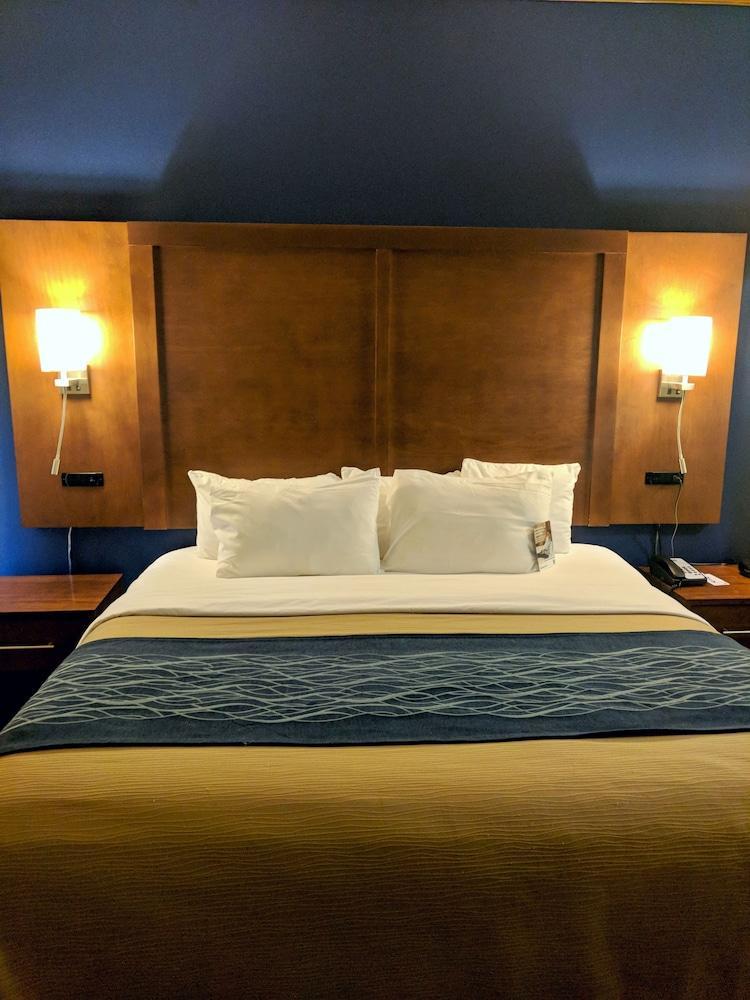 Comfort Inn & Suites Statesboro - University Area Екстер'єр фото